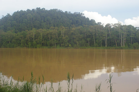 La Kinabatangan et la colline de Pangui. Sukau, 13 août 2011. Photo : J.-M. Gayman