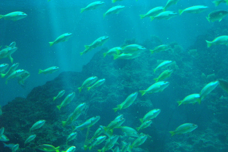 img_034.jpg