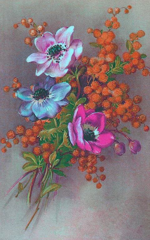 [flowers2%255B7%255D.jpg]