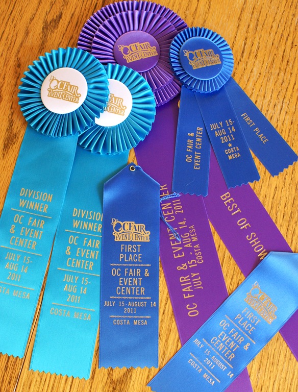 [Winning-Ribbons-copy7.jpg]
