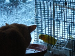 Zoo (3)