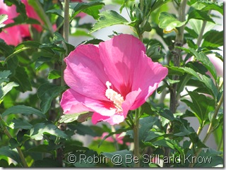 IMG_7139 IMG_7139