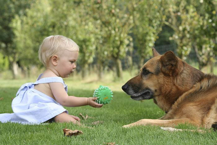So Sweet Photos : You will smile for sure