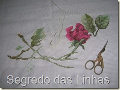 DSCN5973 DSCN5973