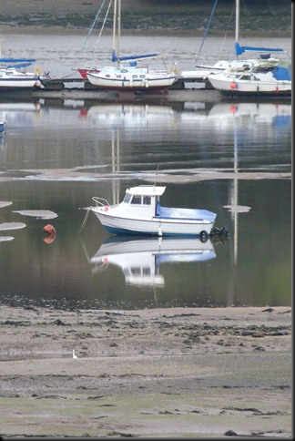 Estuary 038