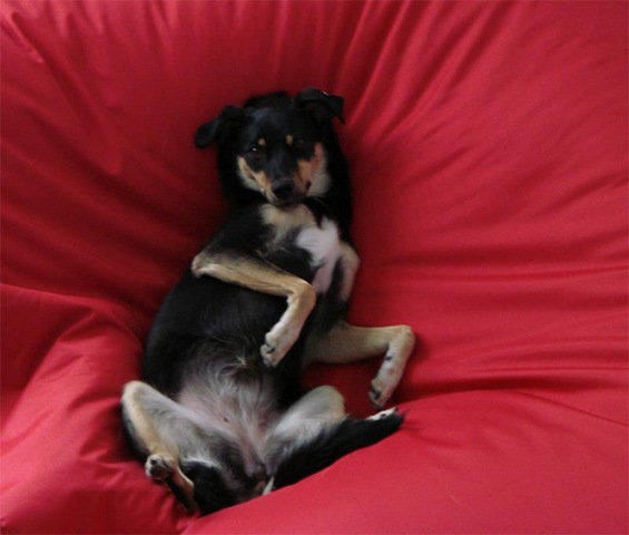 [Lola%255B15%255D.jpg]