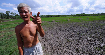 Farmer Dang Roi stands next to his family’s salt water-hit rice field in Ben Tre Province’s Que Dien Commune in the Mekong Delta, 15 Octoboer 2010. thanhniennews.com