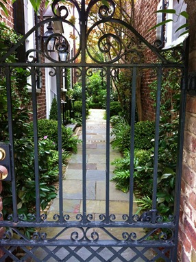 IMG_1284 IMG_1284