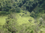 Melordaña