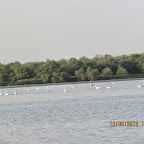 IMG_7897.JPG