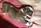 Boy 4 - 2 days