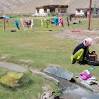 DSC_4176.jpg