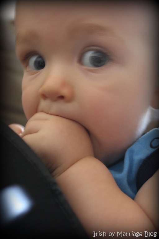 [IMG_9156%255B3%255D.jpg]