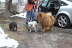 We have arrived at the groomer and there are many interesting things to sniff around here.
