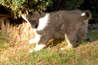 _DSC0060.JPG