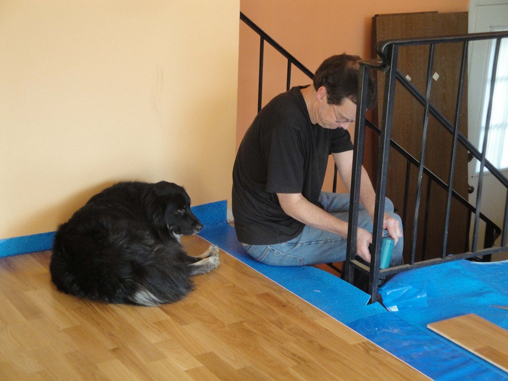 [1%2520man%2520and%2520dog%255B3%255D.jpg]