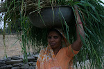 Badgaon, India  (2).JPG