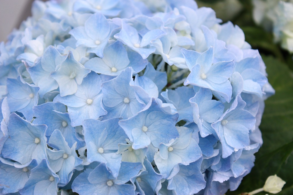 [IMG_2575%255B4%255D.jpg]