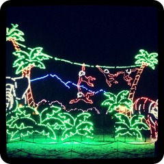 Zoo Lights