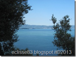 IMG_0184 IMG_0184