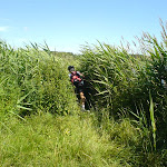 dsc00347.jpg