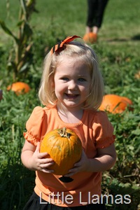 [IMG_0963%255B5%255D.jpg]