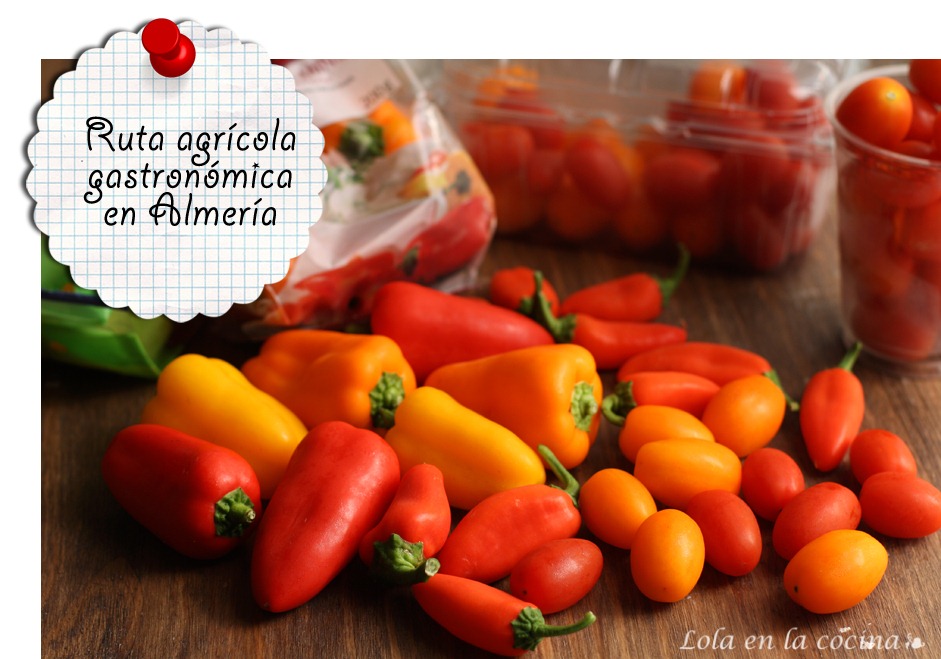 [ruta-agricola-almeria4.jpg]