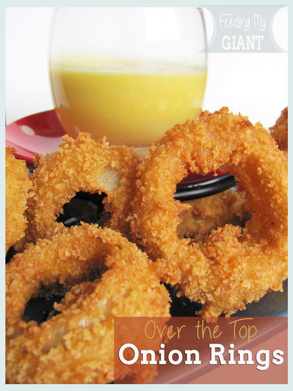 [1358960243_onionrings113.jpg]