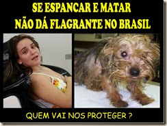 sos_animaisbr01_thumb[1]