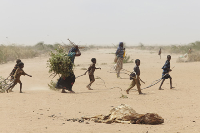 A family gathers sticks and branches for firewood and building materials. Dadaab camp in Kenya is the largest refugee camp in the world with people fleeing the civil war in Somalia. In recent months the rate of new arrivals has increased dramatically due to the added factor of drought that is affecting the region. It has now become severely overcrowded. Andy Hall / Oxfam