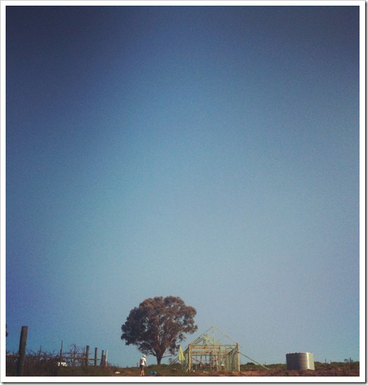 march 2012 064