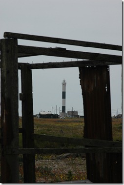 dungeness 055 dungeness 055