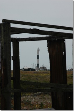 dungeness 055