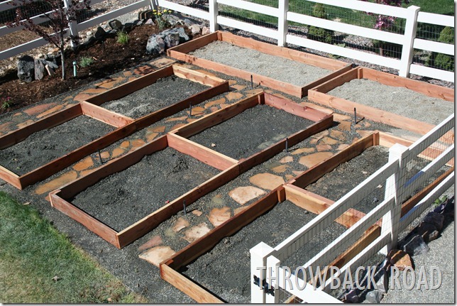 Raised Garden Spring 2012 011 Raised Garden Spring 2012 011