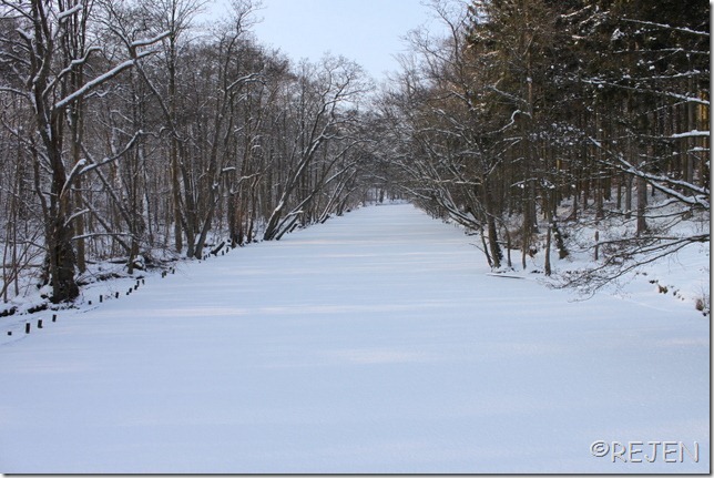 IMG_2716 IMG_2716