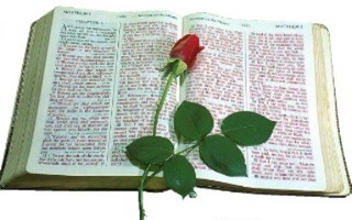 [biblerose%255B2%255D.jpg]