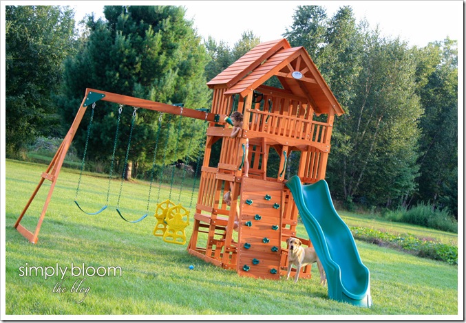 playset (2 of 1)