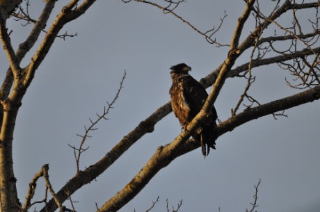 DSC_0162.jpg DSC 0162