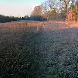 TRIP  121111