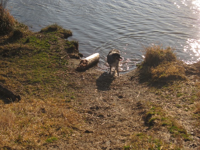 [IMG_6823%255B3%255D.jpg]