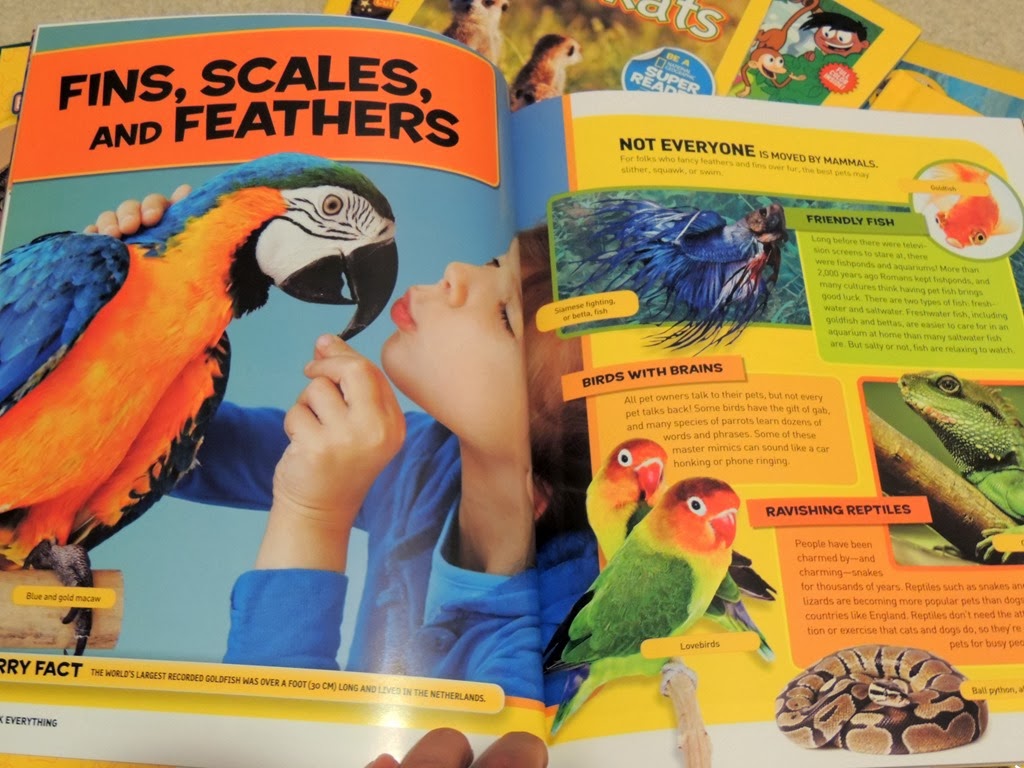 [DSCN6863%255B3%255D.jpg]