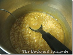 dark chocolate salted caramels - The Backyard Farmwife