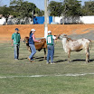 superleite2011_dia1507_105.JPG