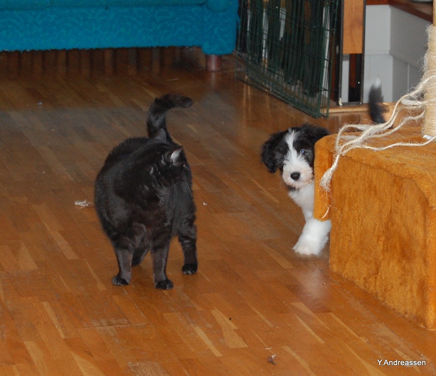 [DSC_7460%255B4%255D.jpg]
