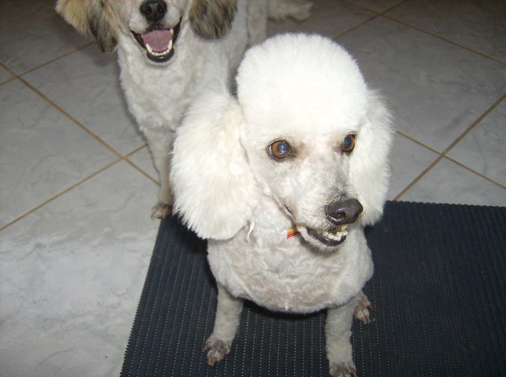 [PRINCESA%2520MAIO%255B4%255D.jpg]