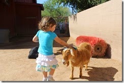 IMG_6615 IMG_6615