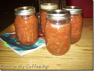 first fresh tomato salsa 004