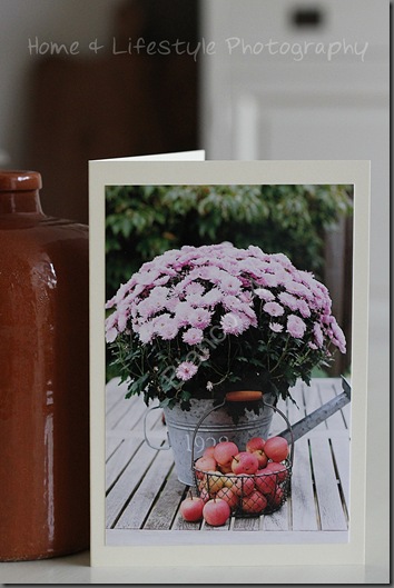 Home & Lifestyle Home & Lifestyle