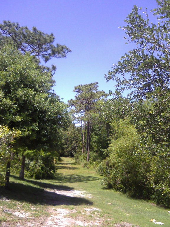[0406111339-002.jpg]