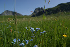 DSC03212.JPG